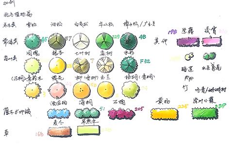 植物属性